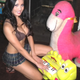 Illustration for article titled Dinosaurs + Confused Bikini Models = The Internets New Strangest Site